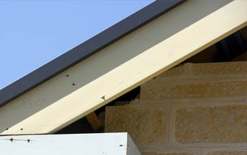 Abertridwr fascia repairs